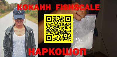 амф Сланцы