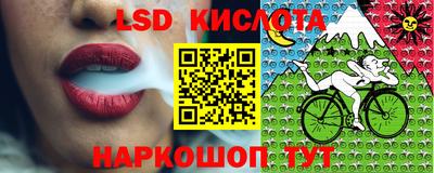 амф Сланцы