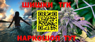 амф Сланцы