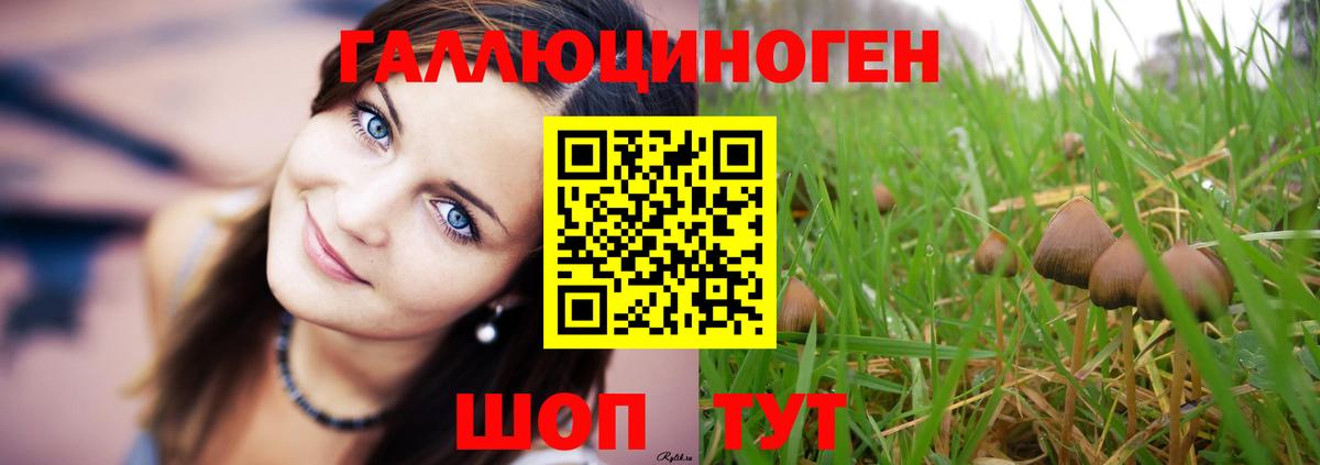 наркотики  Вход с VPN  Светлоград  Галлюциногенные грибы Psilocybine cubensis  Галлюциногенные грибы ЛСД 
